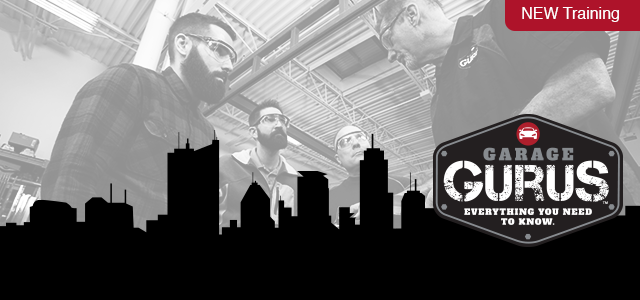 GARAGE GURUS