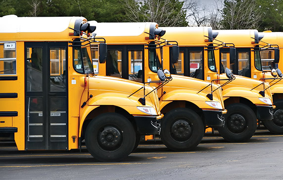 Fleet of school busses