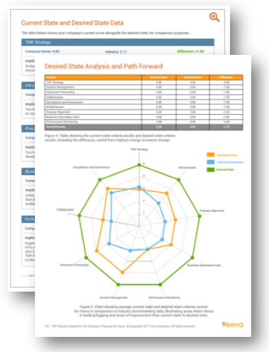 TMF Maturity Report