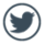 Twitter Logo PNG