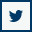 Twitter Icon