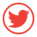 Twitter Logo