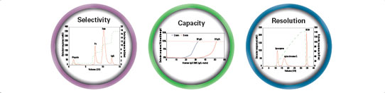 Selectivity, Capacity, Resolution