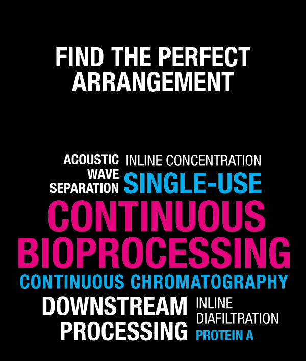 Find the perfect arrangement