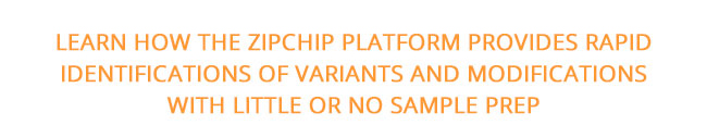 ZipChip