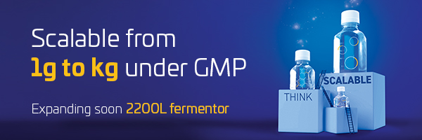 Making your injectable GMP plasmid DNA