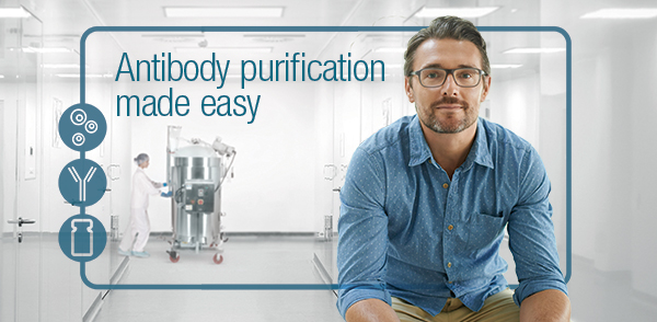Antibody purification made easy