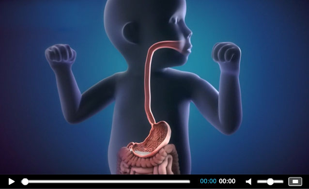Click to Watch Video