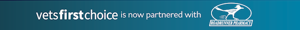 WVC_Footer-1.png