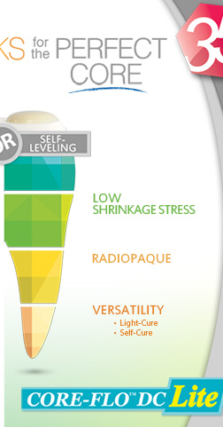 The Building Blocks for the Perfect Core