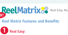 RealMatrix logo