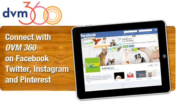 DVM360 - Connect with DVM360 on Facebook, Twitter, Instagram, Pinterst