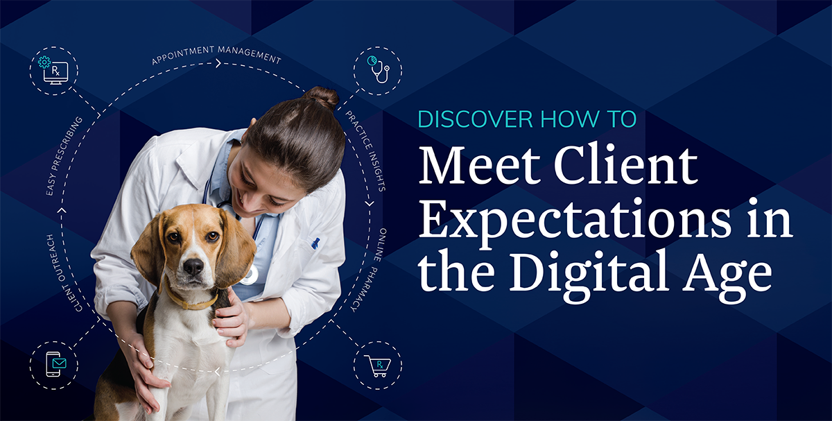 Discover How To Meet Client Expectations in the Digital Age