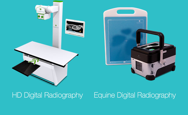 HD Digital Radiography / Equine Digital Radiography