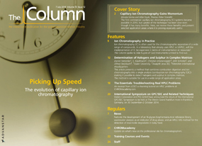 The Column