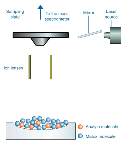 NEW Biochromatography eLearning Modules