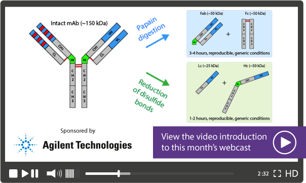 Video into