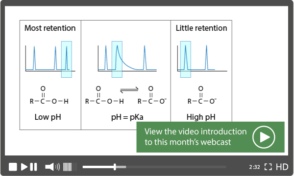 Everything You Need to Know About UV Detectors for HPLC