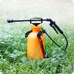 Pesticides
