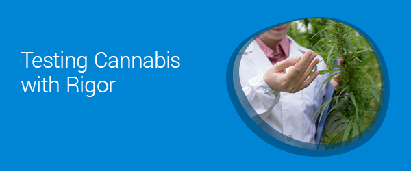 Testing Cannabis with Rigor