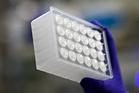 microplate
