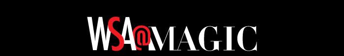 WSA@MAGIC  