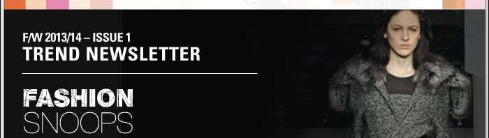 F/W 2013/14-ISSUE 1  TREND NEWSLETTER    FASHION SNOOPS