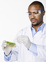 Food Integrity Brochure