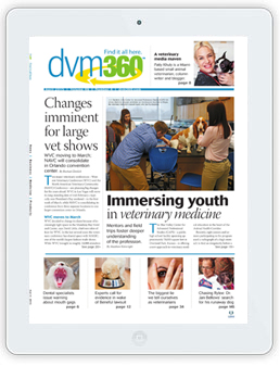 DVM