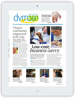 DVM