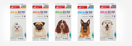 BRAVECTO Chew for Dogs