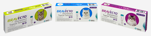 BRAVECTO Topical Solution for Cats