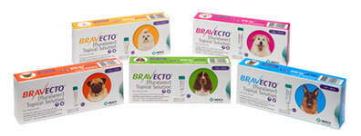 BRAVECTO Topical Solution for Dogs