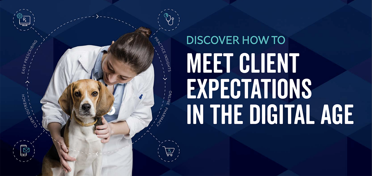 Discover How to Meet Client Expectations in the Digital Age
