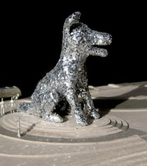 denver dog